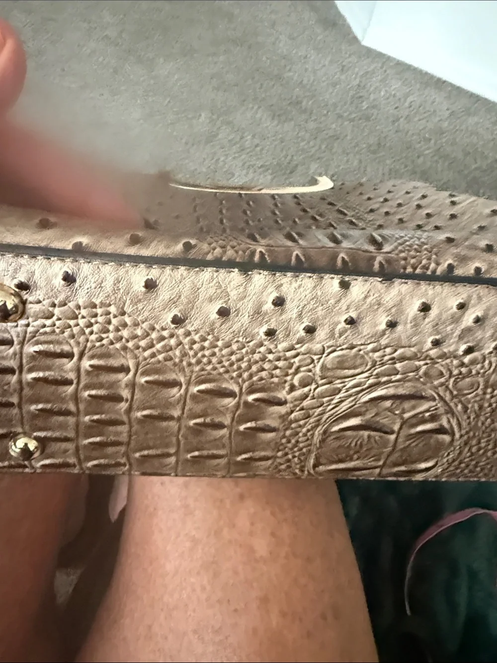 Unknown elegant brown